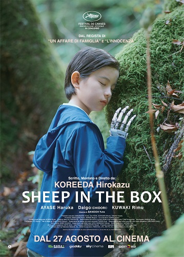 Cinema La Compagnia - Sheep in a Box locandina