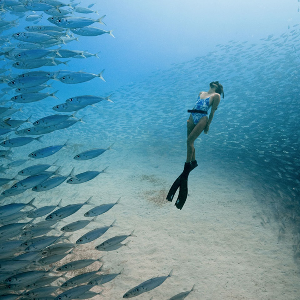 Ocean Film Festival 2019