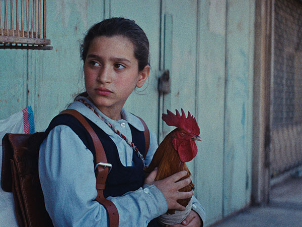 La torta del presidente